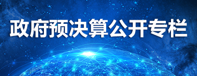 政府預決算公開專欄